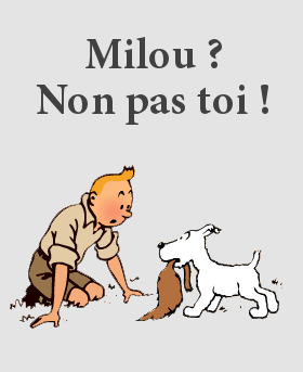 tintin2